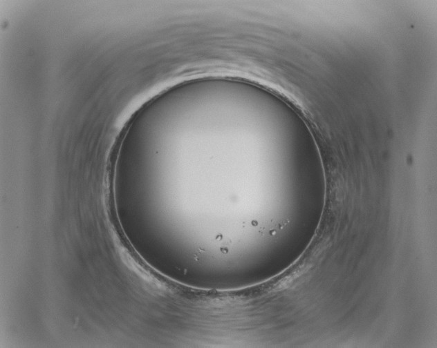 X0000067901518200604201322