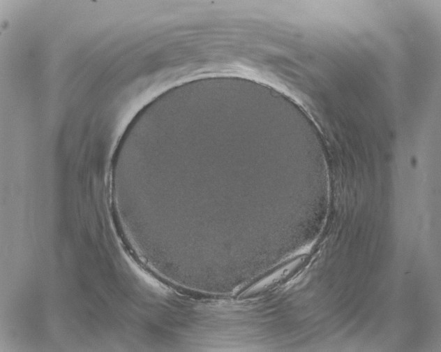 X0000067901519200604201322