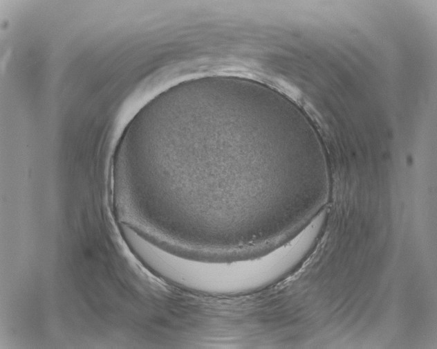 X0000067901520200604201322