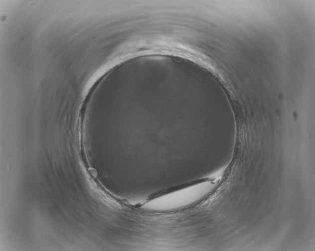 X0000067901522200604201322