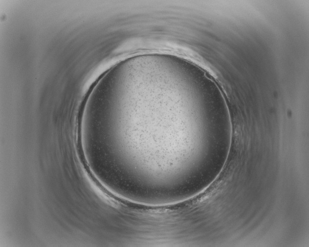 X0000067901523200604201322