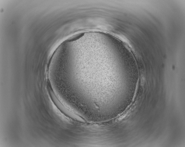 X0000067901524200604201322