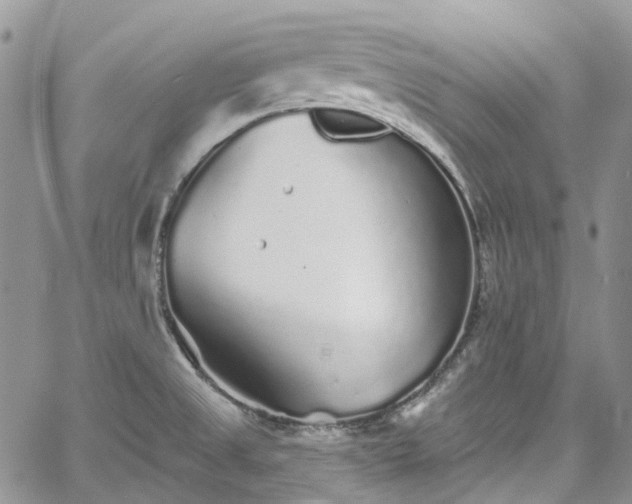 X0000067901525200604201322