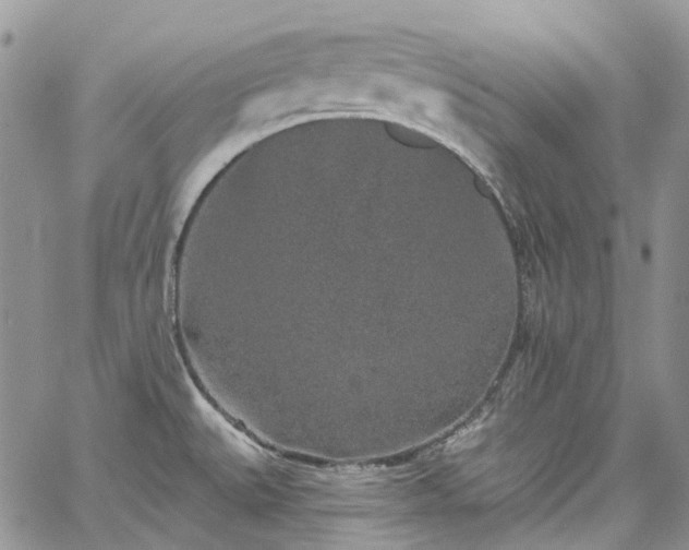 X0000067901527200604201322