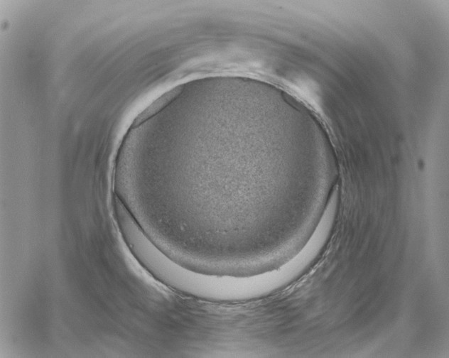 X0000067901528200604201322