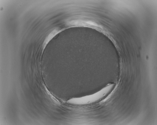 X0000067901529200604201322