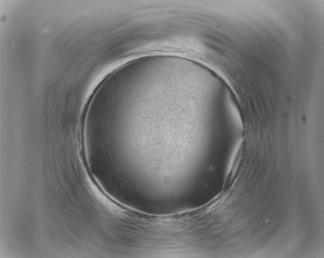 X0000067901531200604201322