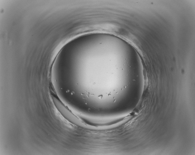 X0000067901532200604201322