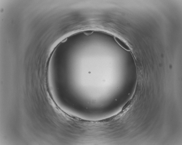 X0000067901534200604201322