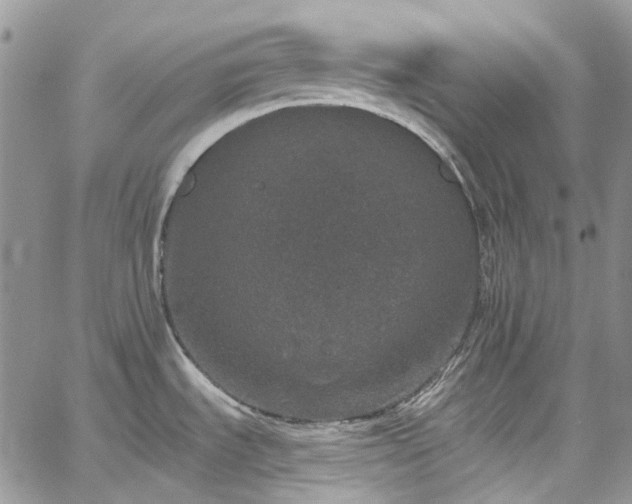 X0000067901535200604201322