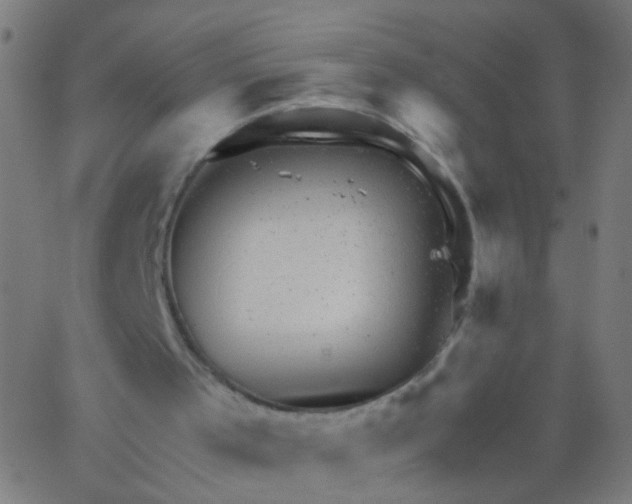 X0000067900001200604271904