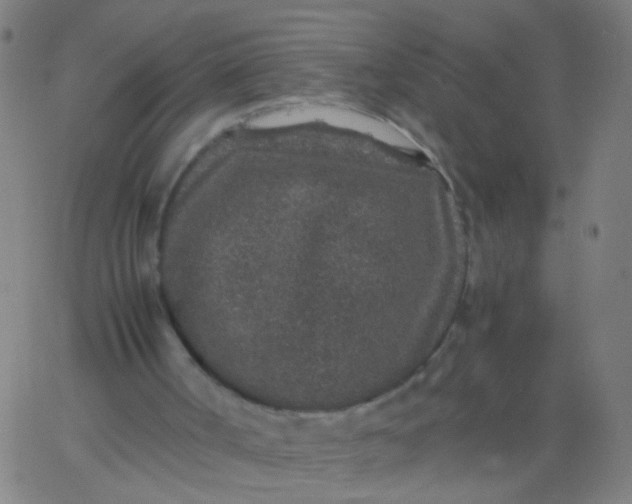 X0000067900002200604271904