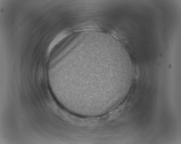 X0000067900004200604271904