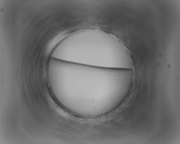 X0000067900005200604271904