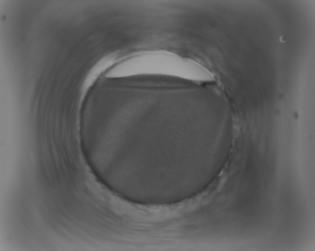 X0000067900006200604271904