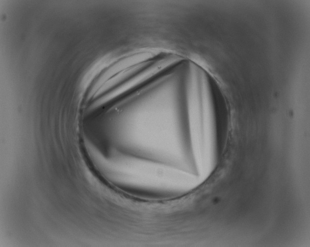 X0000067900007200604271904