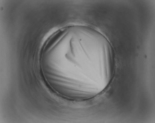 X0000067900008200604271904