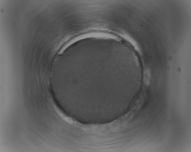 X0000067900009200604271904