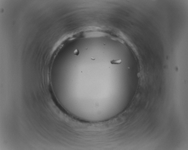 X0000067900011200604271904