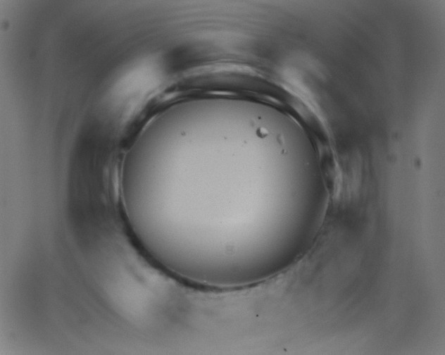 X0000067900013200604271904