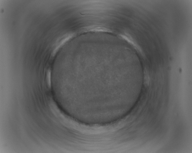 X0000067900014200604271904