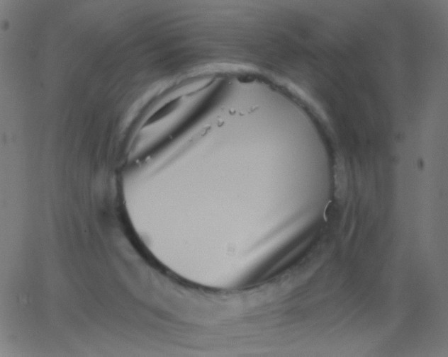 X0000067900015200604271904