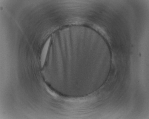 X0000067900017200604271904