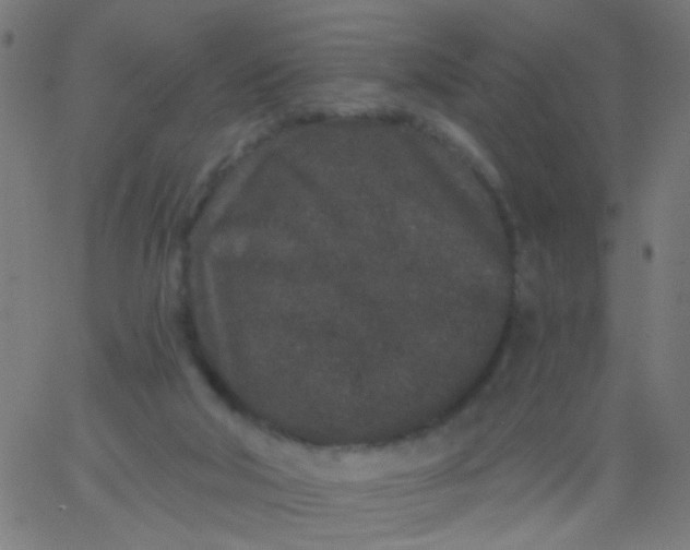 X0000067900018200604271904