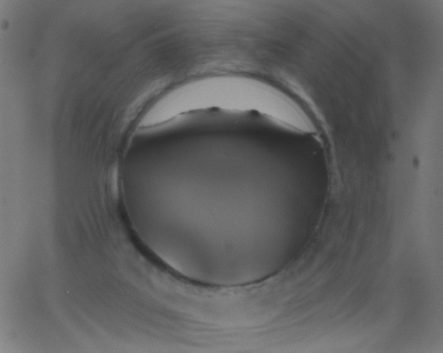 X0000067900019200604271904