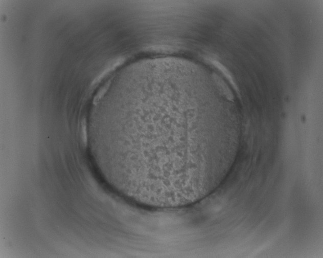 X0000067900020200604271904