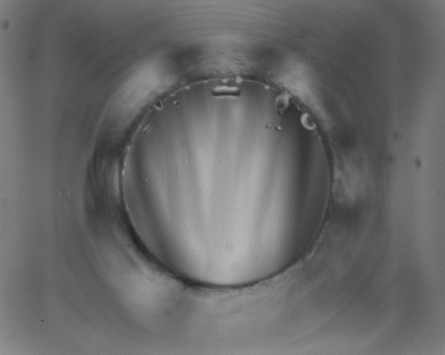 X0000067900021200604271904