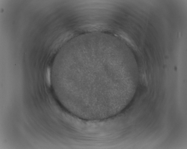 X0000067900022200604271904