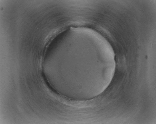 X0000067900023200604271904