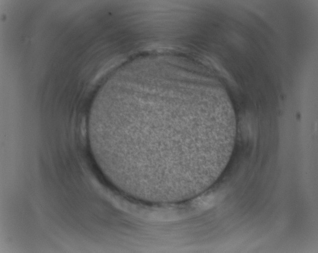 X0000067900024200604271904