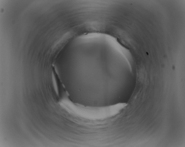 X0000067900027200604271904