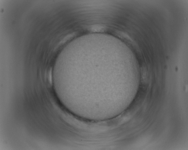 X0000067900028200604271904