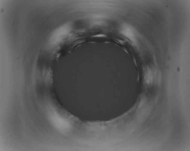 X0000067900029200604271904