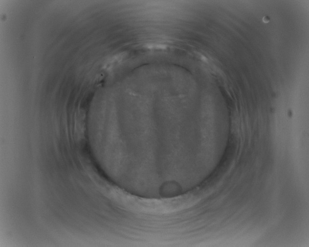 X0000067900030200604271904