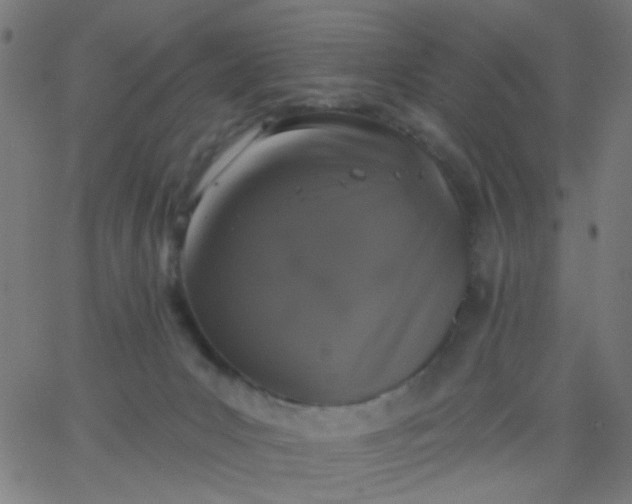 X0000067900031200604271904