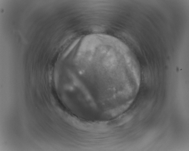 X0000067900032200604271904