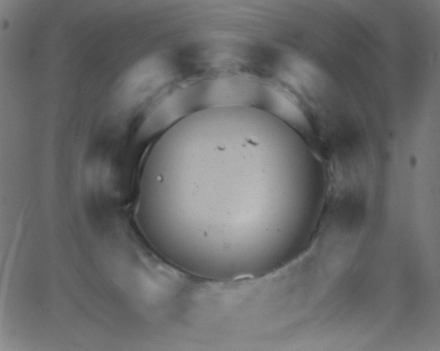 X0000067900033200604271904