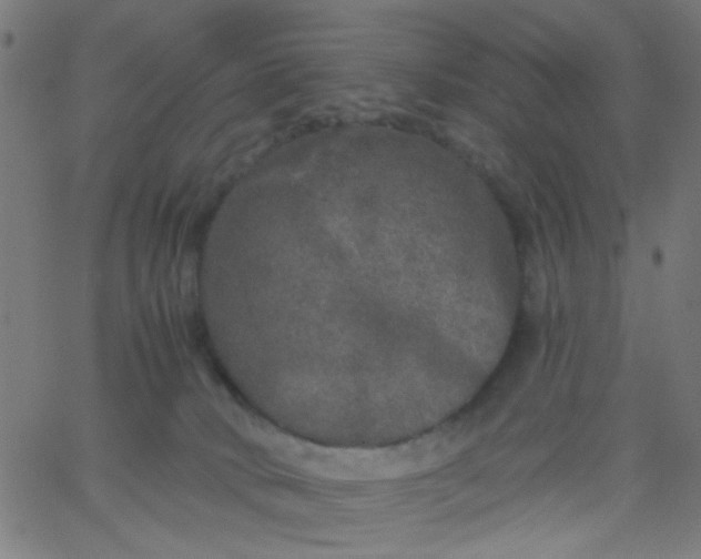 X0000067900034200604271904