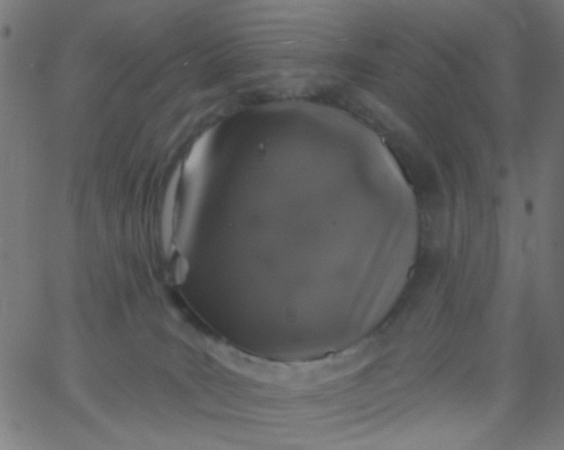 X0000067900035200604271904