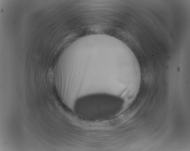 X0000067900036200604271904