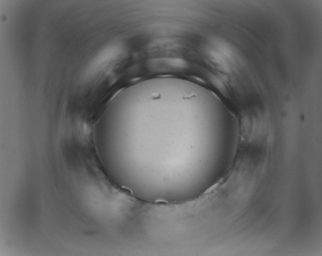 X0000067900037200604271904