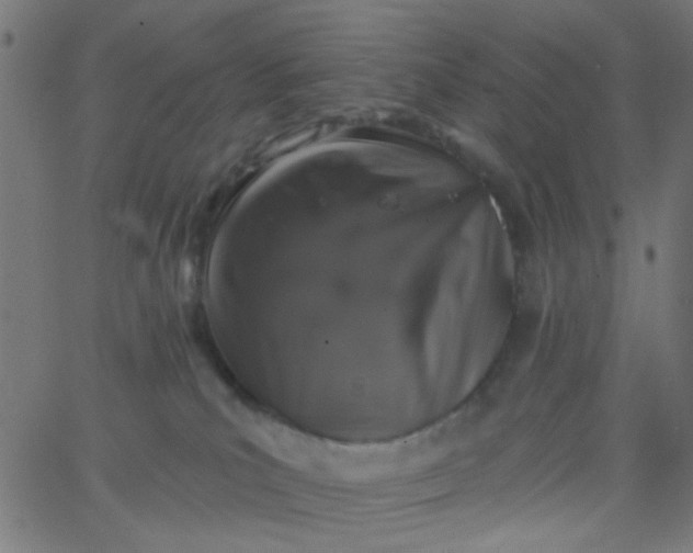 X0000067900039200604271904