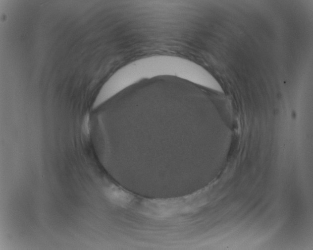 X0000067900041200604271904