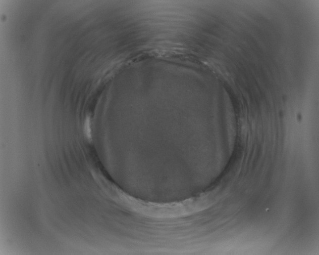 X0000067900042200604271903