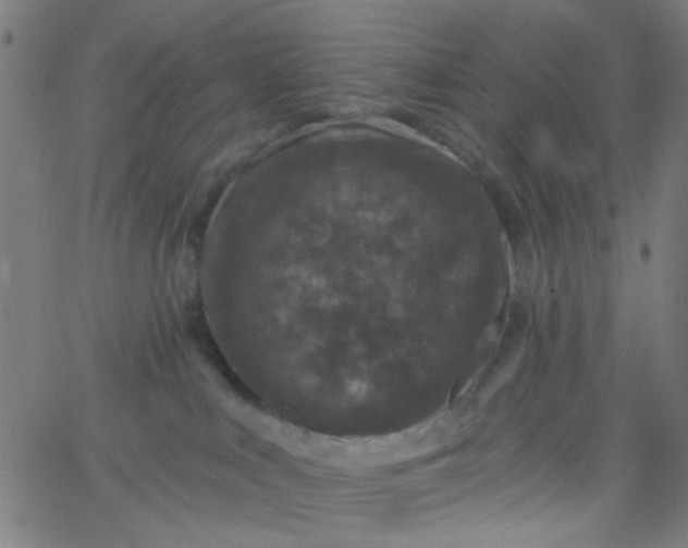 X0000067900043200604271903