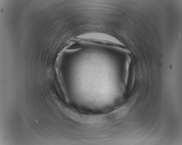 X0000067900044200604271903